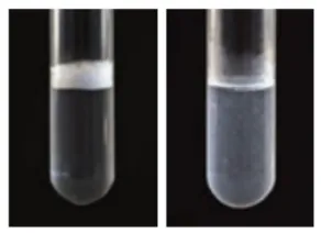 中考化学实验基本操作速记手册2 第14张