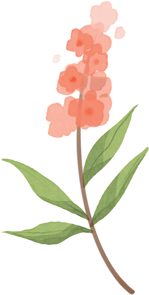 聚焦中考·共研共进——宁波市特级教师协会“学术基地”支教活动 第1张