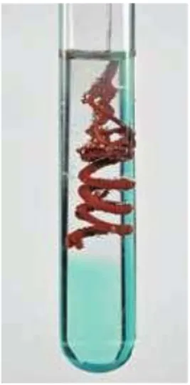 中考化学实验基本操作速记手册2 第44张