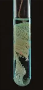 中考化学实验基本操作速记手册2 第45张