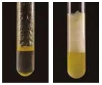 中考化学实验基本操作速记手册2 第52张