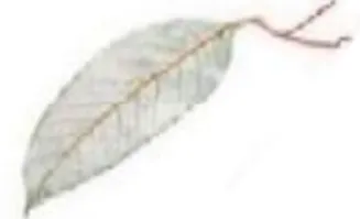 中考化学实验基本操作速记手册2 第58张