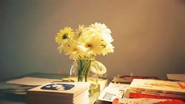 中考英语作文满分冲刺(热点预测+范文赏析) 第3张