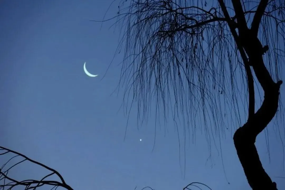 【中考古诗鉴赏】新月(【唐】方干)江苏苏州2025 第4张