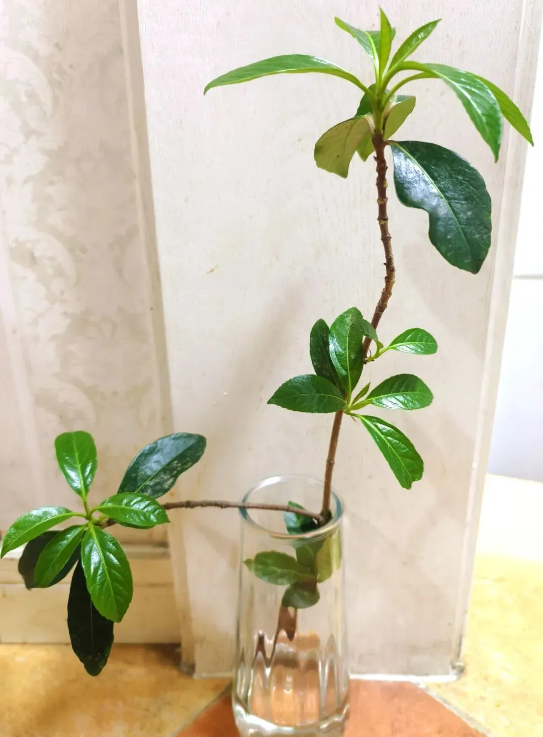 中考倒计时60天:一模落幕+体育模考收官,比纠结分数更重要的,是估分和复盘 第1张