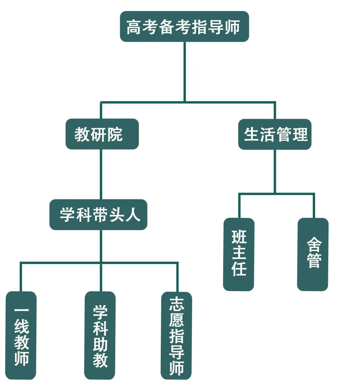 独立校园、零基础教学、全真模拟考试,新易学7月班招生中! 第5张