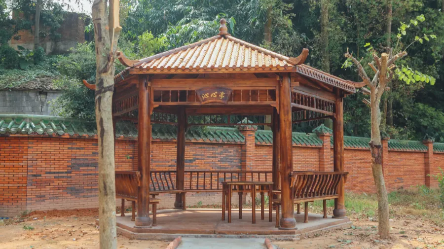 独立校园、零基础教学、全真模拟考试,新易学7月班招生中! 第10张