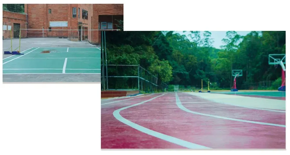 独立校园、零基础教学、全真模拟考试,新易学7月班招生中! 第28张