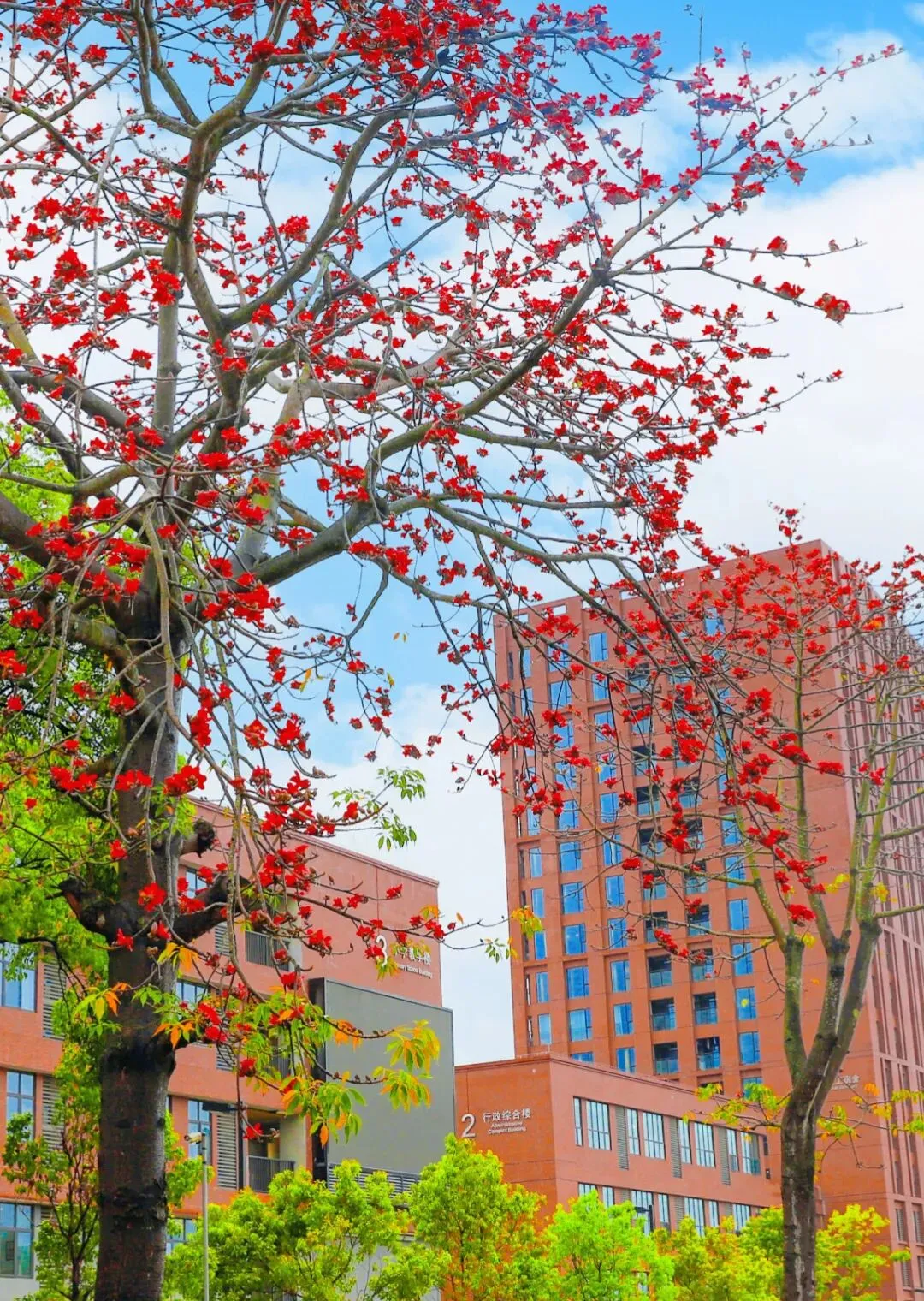 助力中考丨清华学霸+CMO竞赛名师现场传授高分学法! 第12张