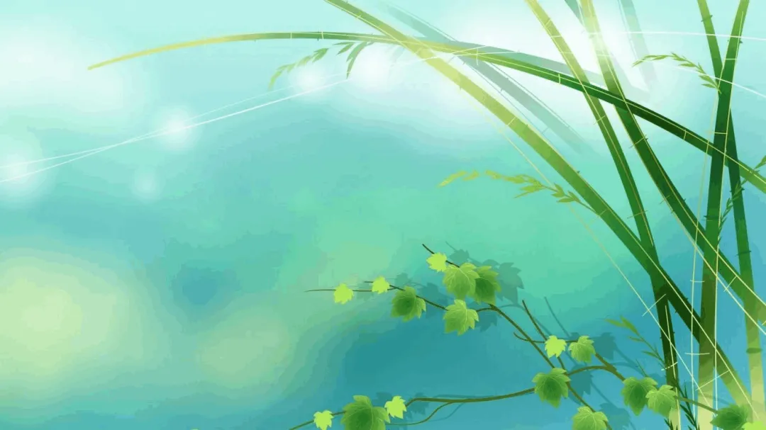 2026年中考模拟考试化学试题13 第8张