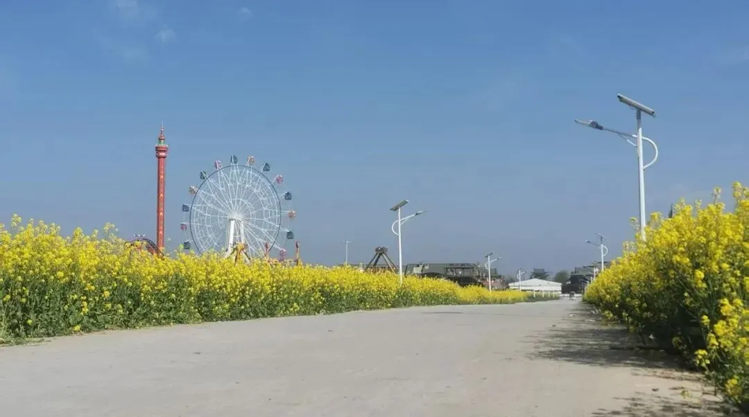 中考报名,选鸡头还是冲凤尾?最关键的其实是心态 第1张