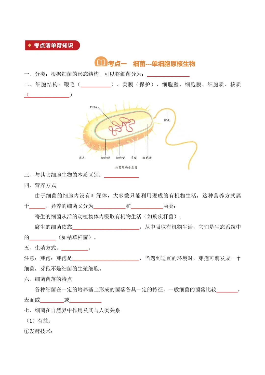 中考专项生物 考点清单05 细菌、真菌和病毒 第9张