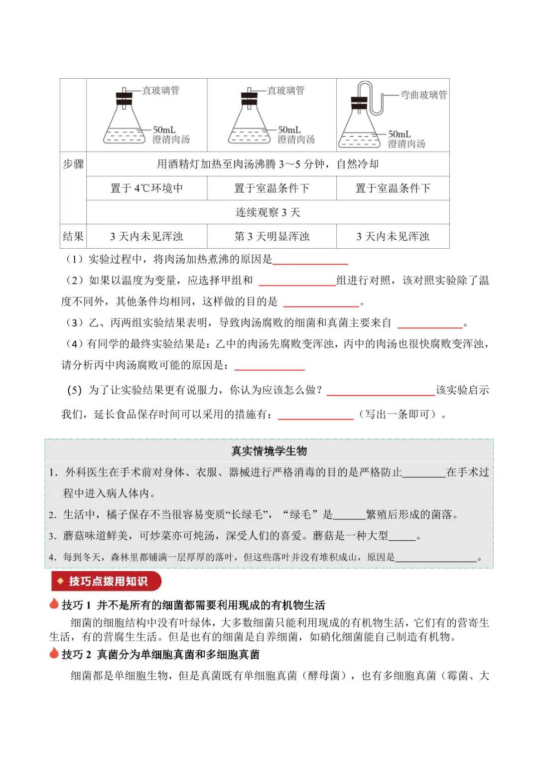 中考专项生物 考点清单05 细菌、真菌和病毒 第14张