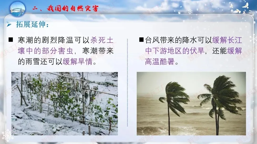 初中地理 中考高效培优系列之一轮复习 专题十八中国的自然灾害与环境保护【课件+教案+讲义+习题】 第13张