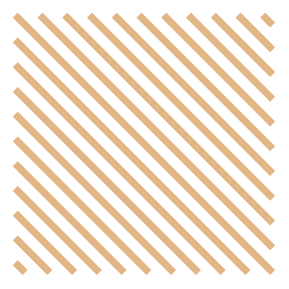 天津中考免推生,7区14所试点高中探校情况查收! 第39张