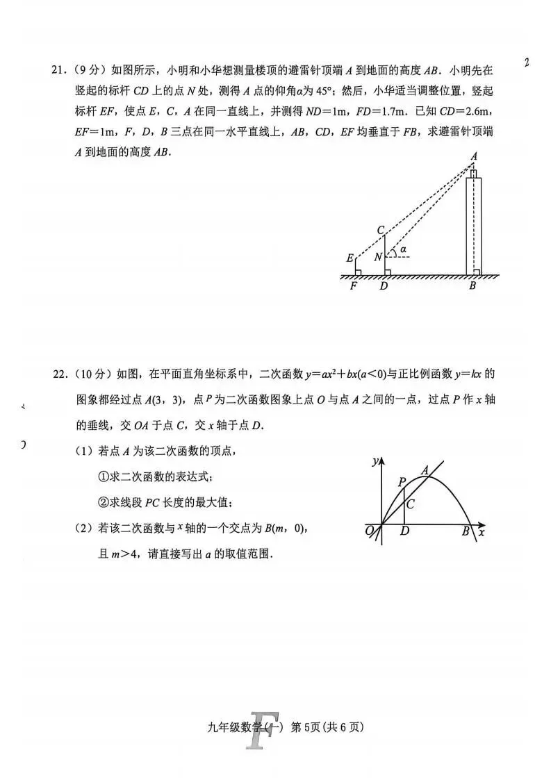 【南阳模拟】2026年南阳市社旗县中考一模数学试卷及答案 第5张