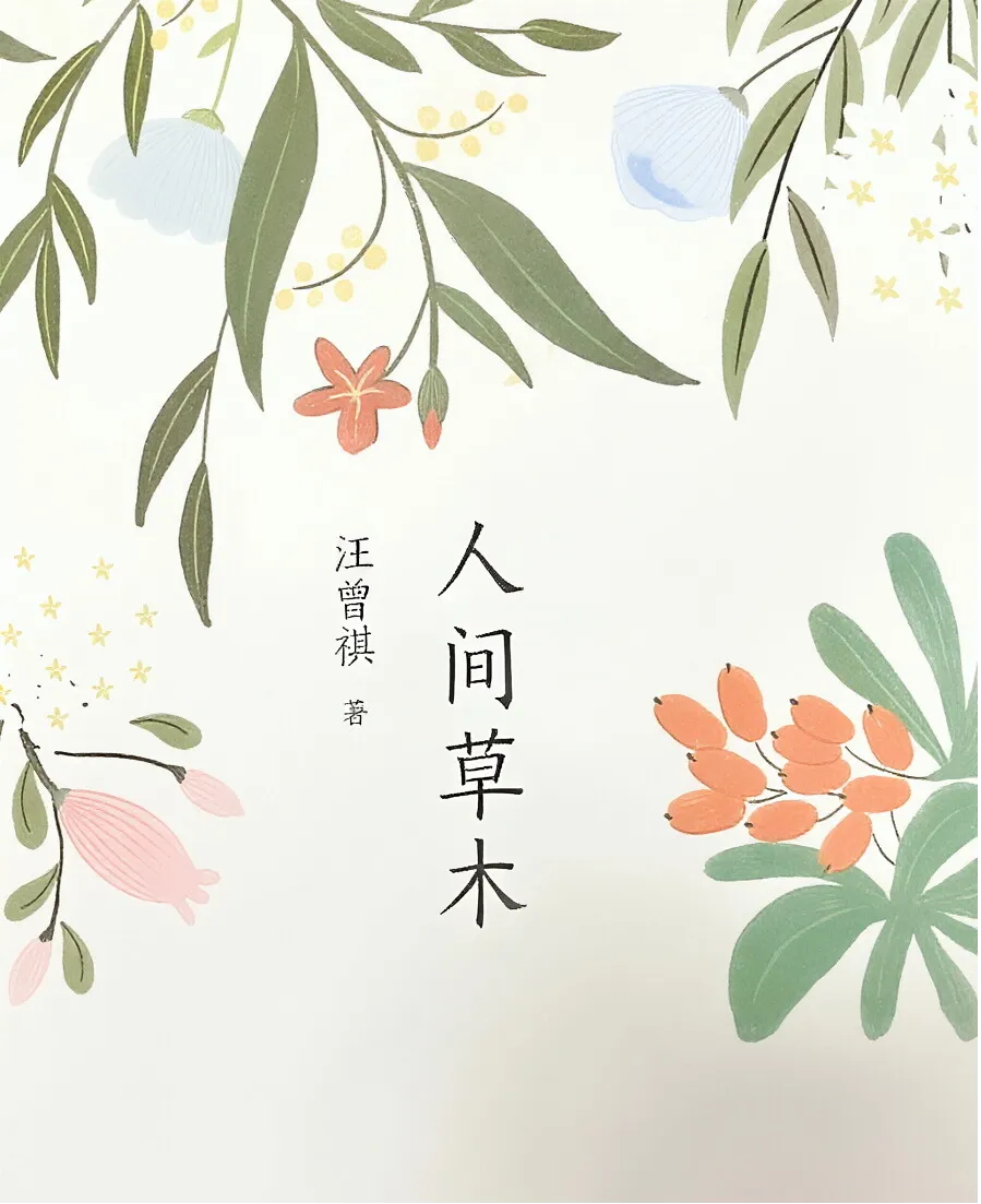 别让青春只剩下试卷:这10本书撑起初中生的精神骨架 第7张