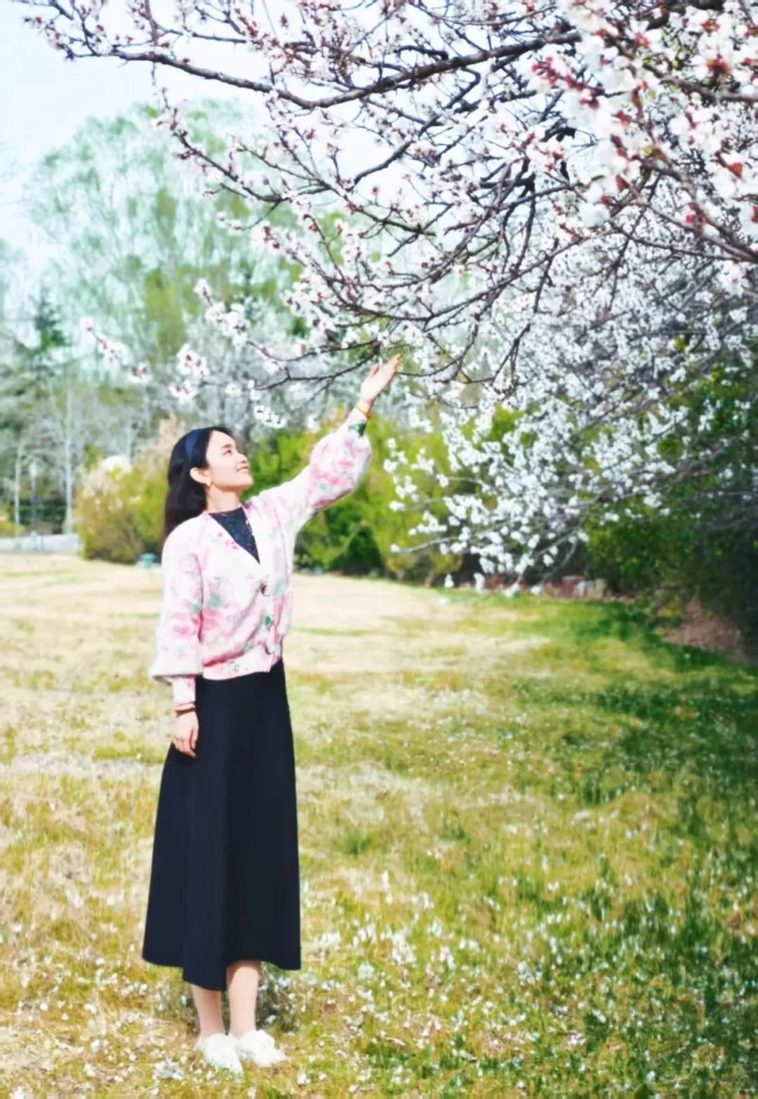 陪娃学习:从中考作文想到的研究问题 第5张