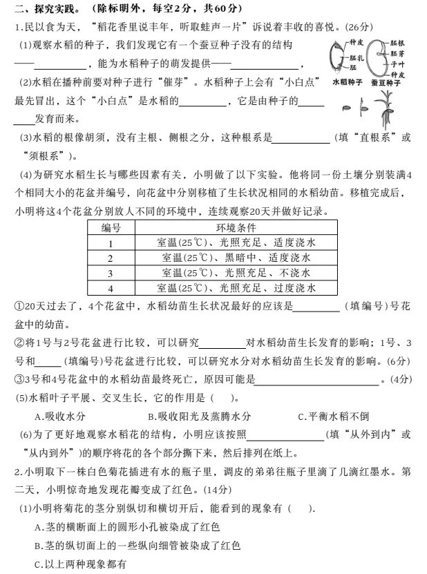 【期中试卷】3456年级下册教科版科学期中综合素质达标卷,pdf电子版可下载 第4张