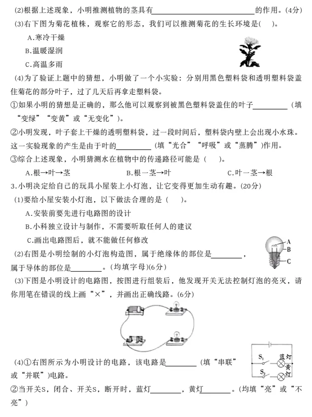 【期中试卷】3456年级下册教科版科学期中综合素质达标卷,pdf电子版可下载 第5张