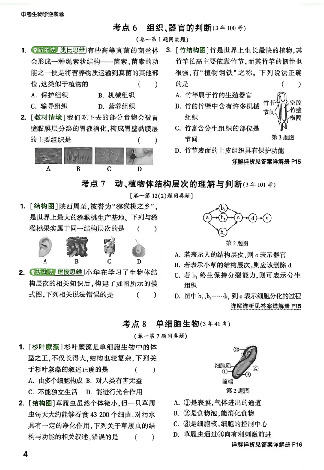 2026中考生物强化训练,含答案,可免费下载打印 第5张