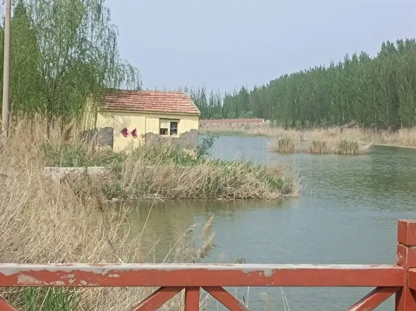 26山东真题:AI技术发展迅速,将会导致学生失去深度思考的能力,出现了“不再需要文化积累和体力劳动”的想法? 第1张