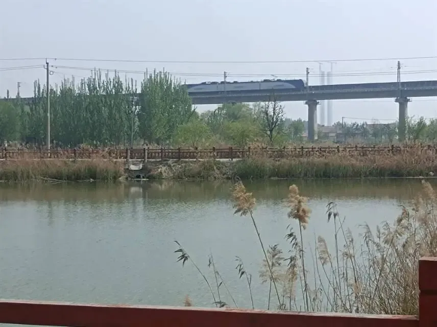 26山东真题:AI技术发展迅速,将会导致学生失去深度思考的能力,出现了“不再需要文化积累和体力劳动”的想法? 第2张