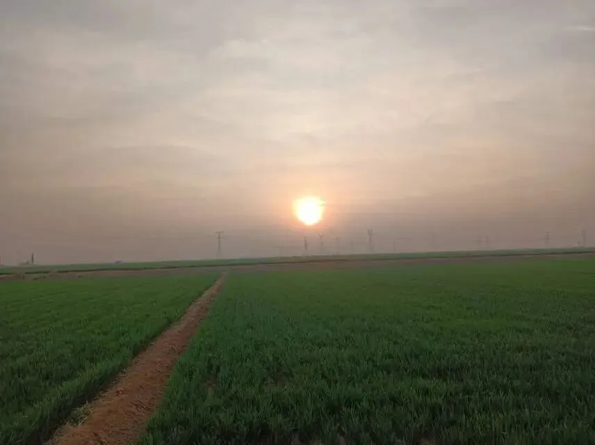 26山东真题:AI技术发展迅速,将会导致学生失去深度思考的能力,出现了“不再需要文化积累和体力劳动”的想法? 第3张