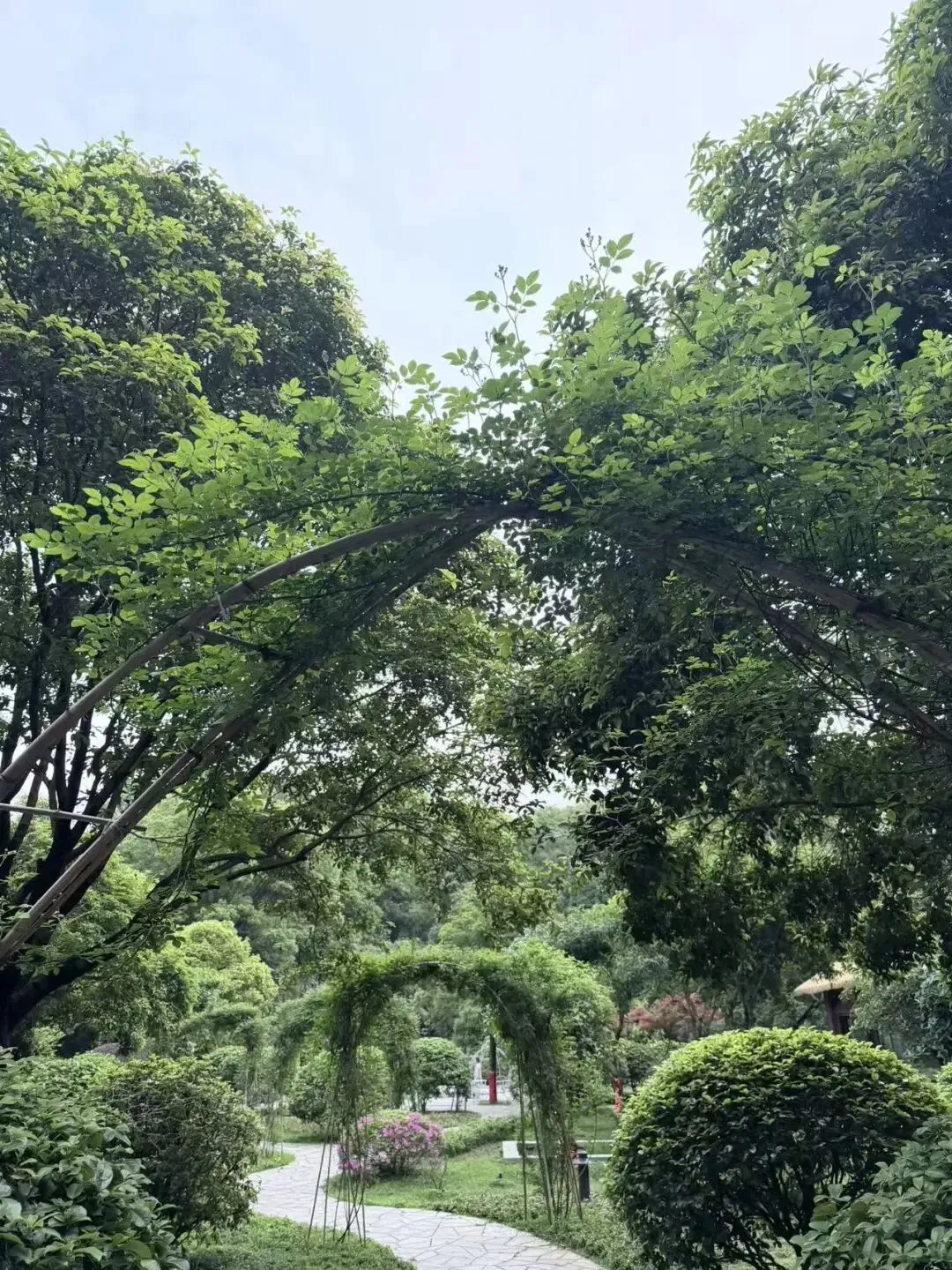 讲得越多,分数越低?中考复习最该停下来的三件事 第2张