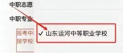 重要消息!2026年济宁市中考志愿填报流程来啦,收藏转发!需要注意啥?指标生,统招高中平行志愿,职普融通,职教高考,中专,技校咋选 第10张