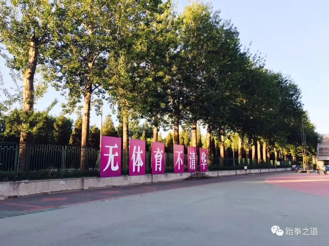 聊聊中考体育训练! 第1张