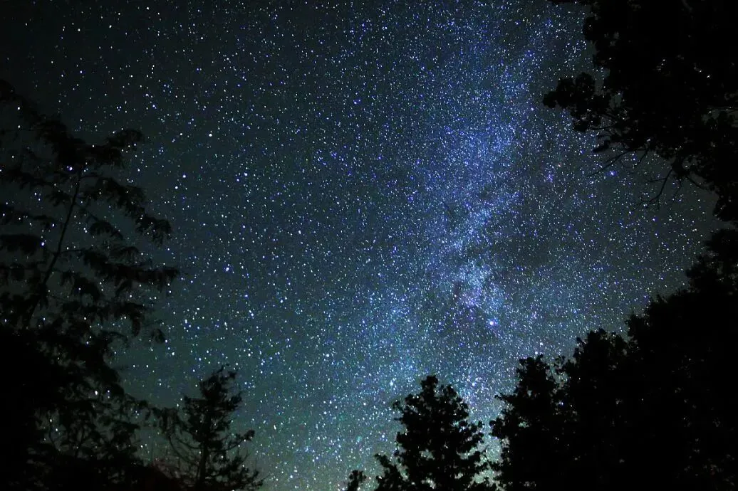 2026中考作文《____,牵动我的情思》 第2张