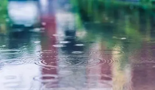 2026中考作文《____,牵动我的情思》 第3张