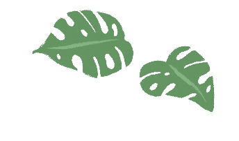 【教研活动】同课异构展风采 图形变换研中考——高段数学组教研活动简报 第6张