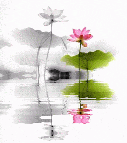 数学篇:2025学年八年级下数学期中试卷 第7张