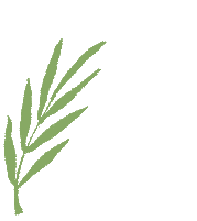 【教研活动】同课异构展风采 图形变换研中考——高段数学组教研活动简报 第7张