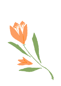 【教研活动】同课异构展风采 图形变换研中考——高段数学组教研活动简报 第8张