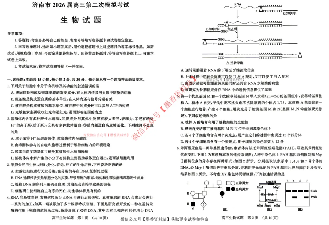 (全科)山东省济南市2026届高三第二次模拟考试(济南二模)【全科】试卷和参考答案汇总(可下载PDF) 第19张