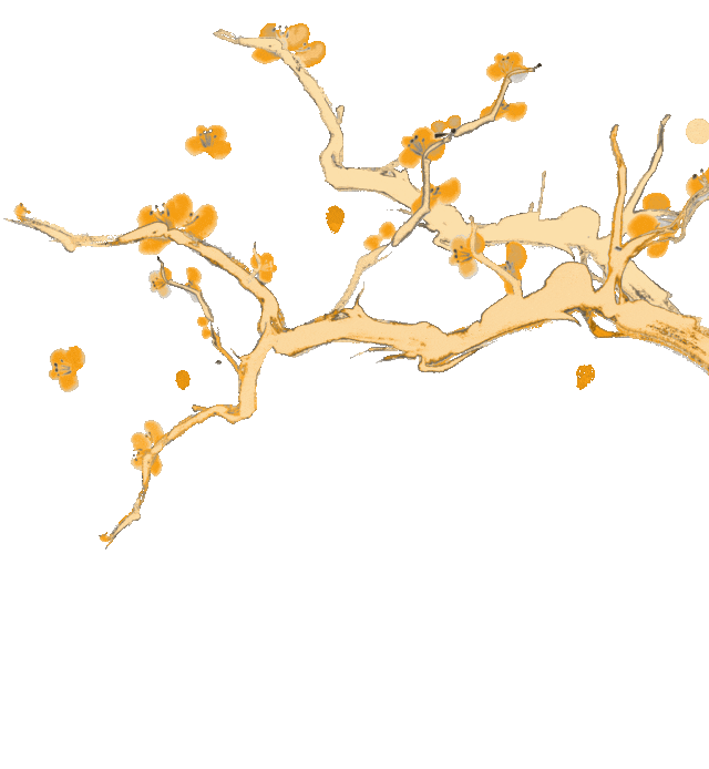 数学篇:2025学年八年级下数学期中试卷 第10张