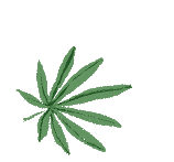 【教研活动】同课异构展风采 图形变换研中考——高段数学组教研活动简报 第9张