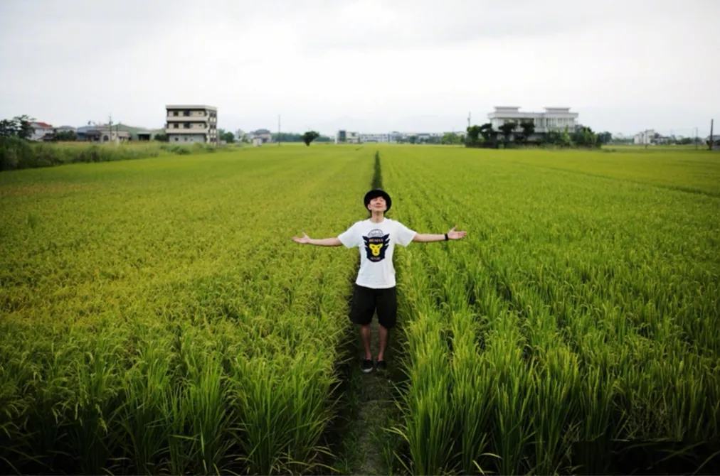 中考减负,高中挤文科,大学搞复合,职场抢野生:谁跑偏了? 第3张