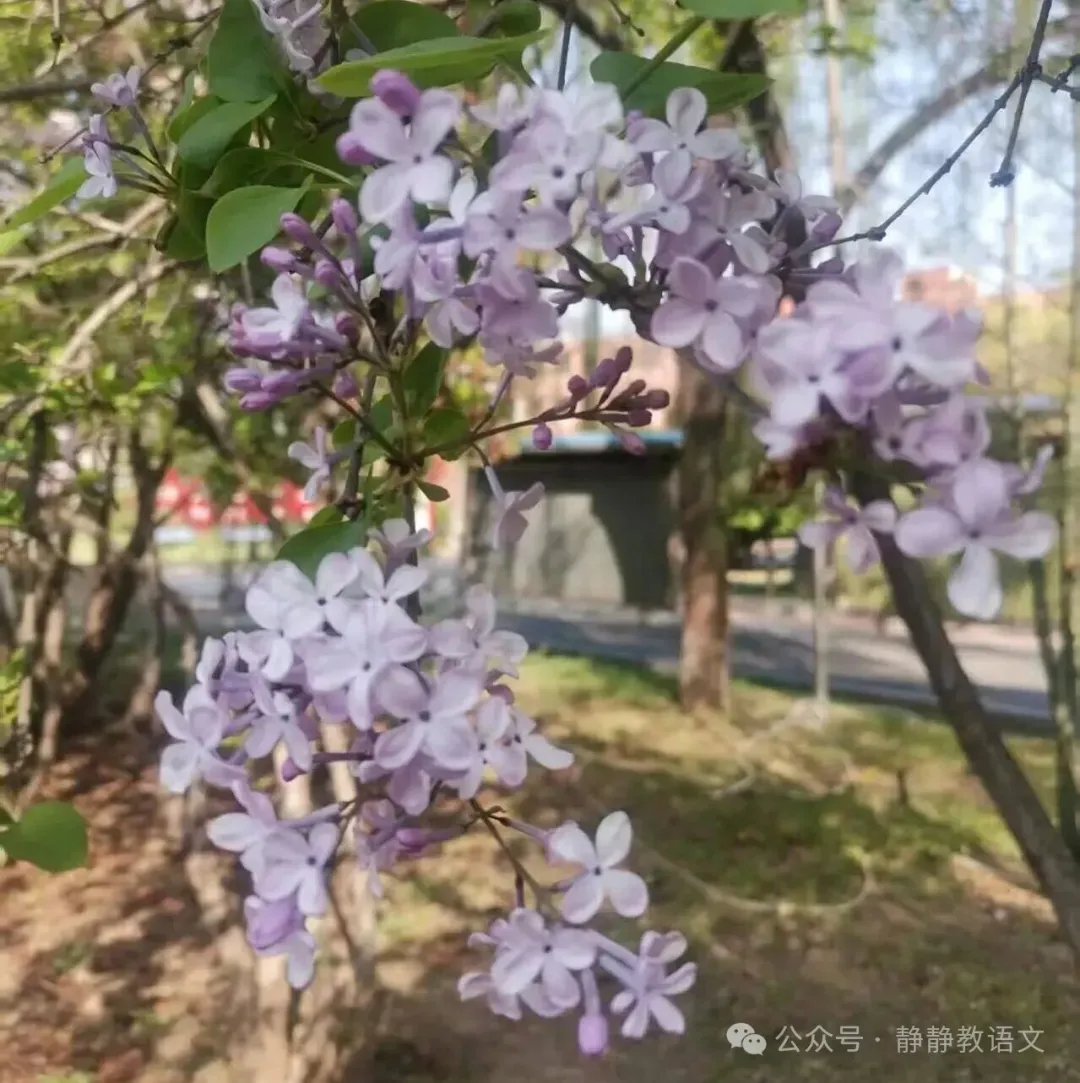 中考作文题目集锦 第1张