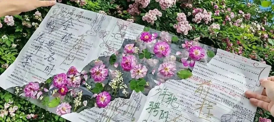 中考落榜生家长必看!选对学校,照样冲本科!!! 第1张