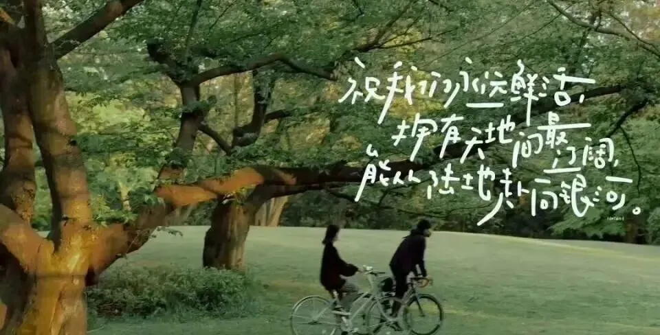 中考落榜生家长必看!选对学校,照样冲本科!!! 第2张