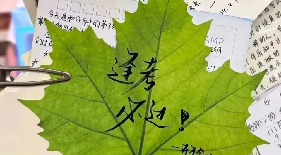 中考落榜生家长必看!选对学校,照样冲本科!!! 第4张