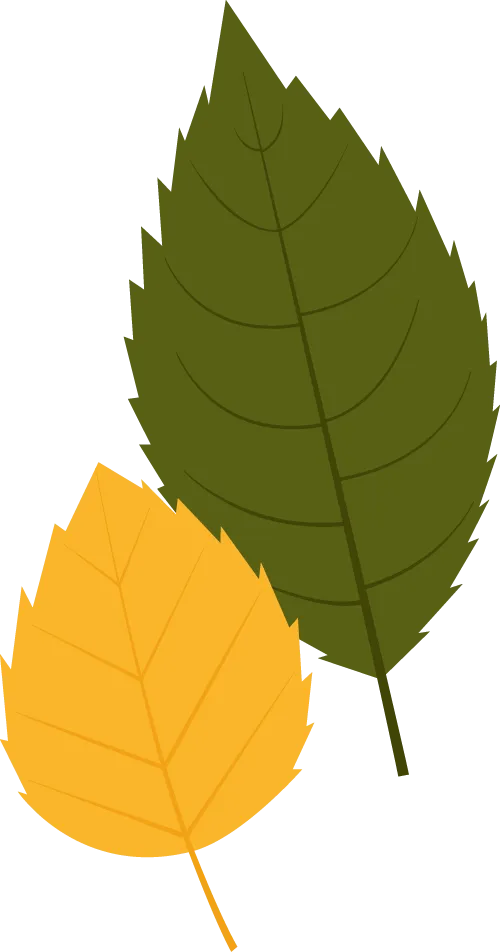 聚焦中考新动向 深耕物理新课堂|赵利萍初中物理名师工作室协办株洲市 2026 年物理学科研讨活动 第49张