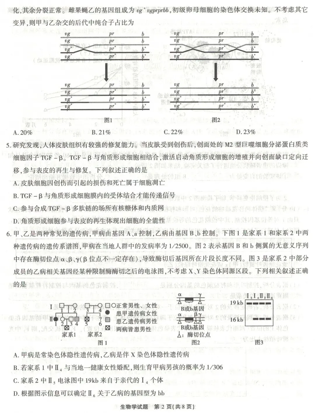 江淮十校2026届高三4月模拟考试生物学试题(卷后附答案) 第2张