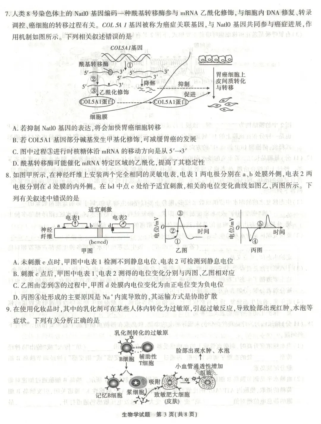 江淮十校2026届高三4月模拟考试生物学试题(卷后附答案) 第3张