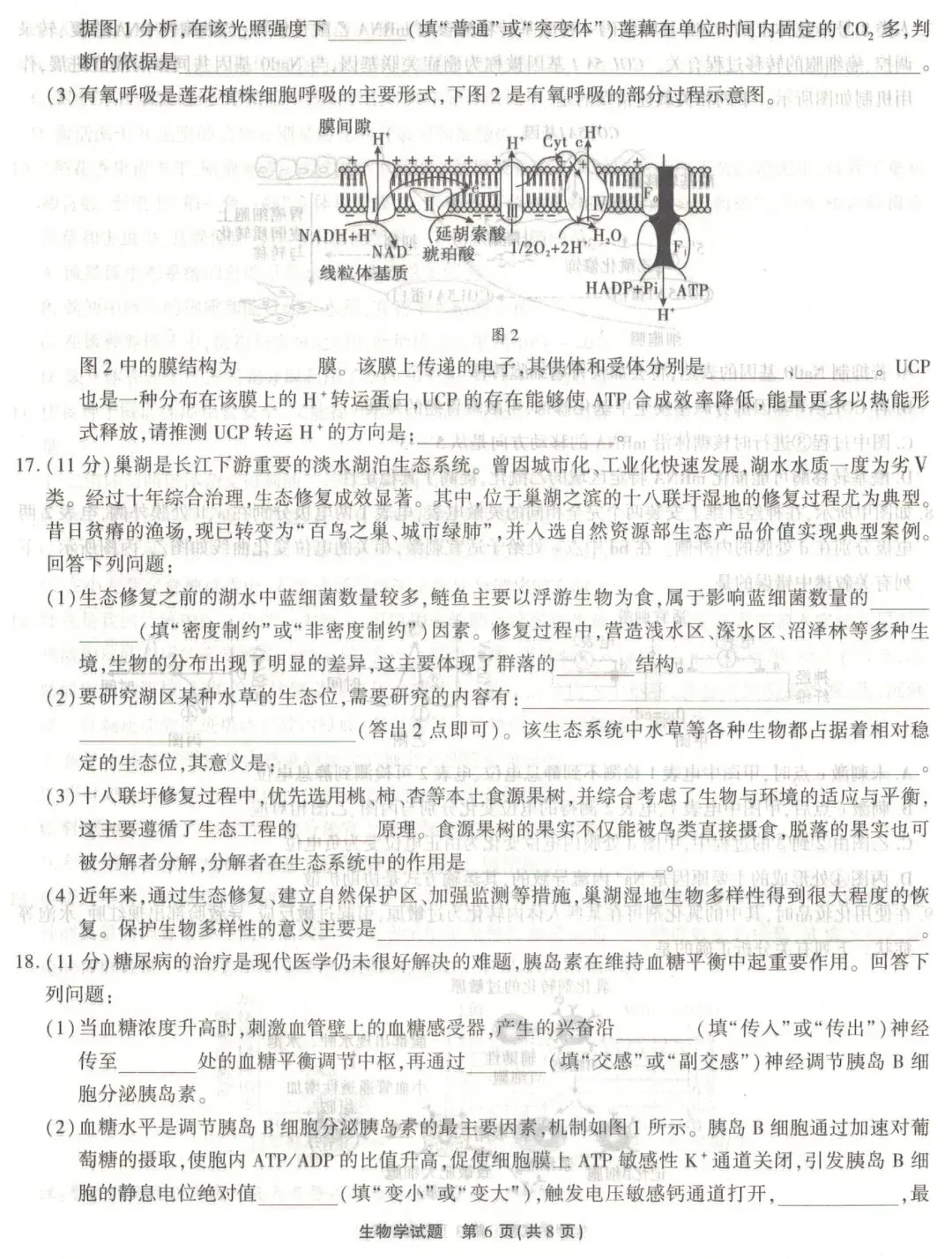 江淮十校2026届高三4月模拟考试生物学试题(卷后附答案) 第6张