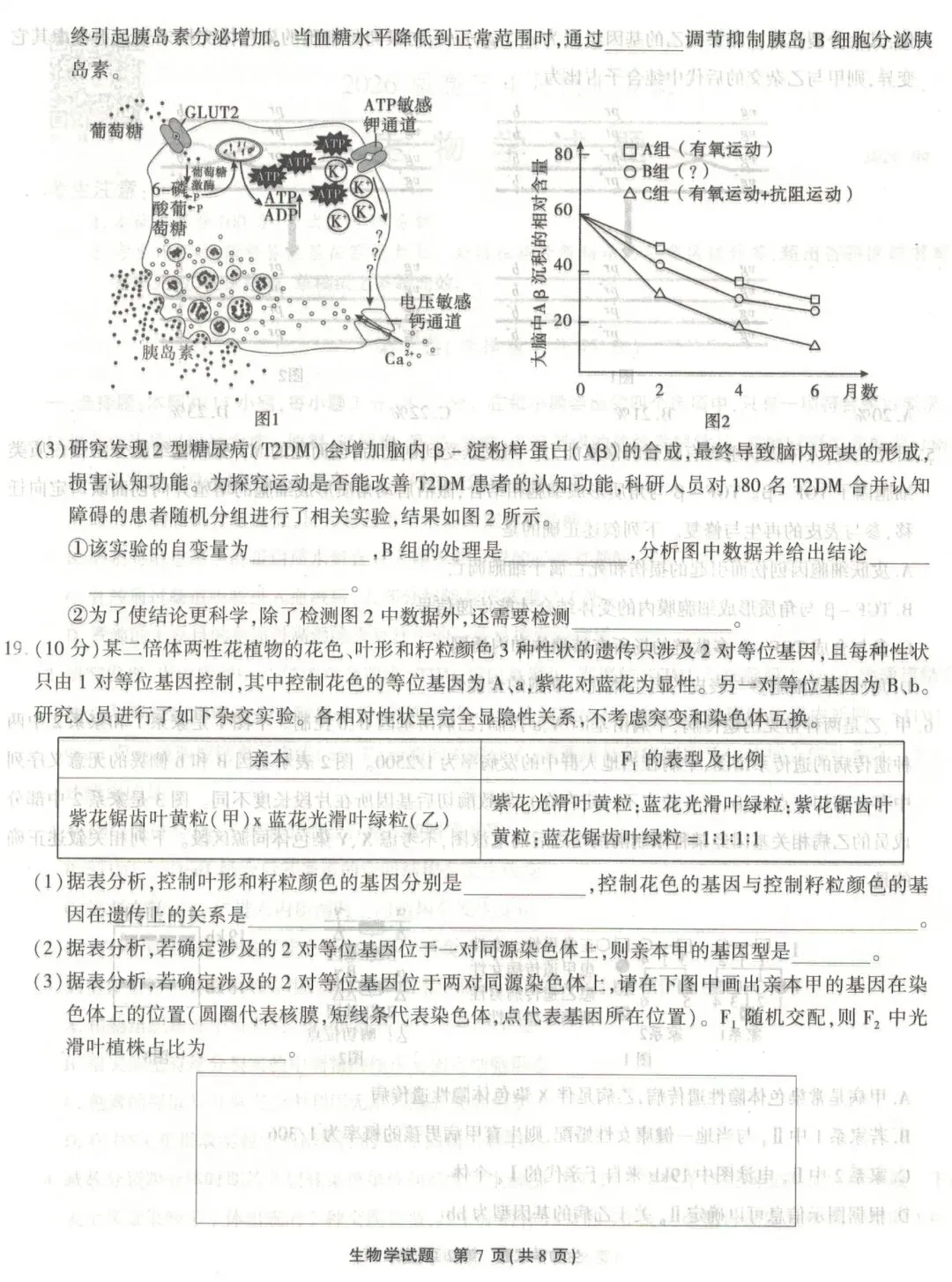 江淮十校2026届高三4月模拟考试生物学试题(卷后附答案) 第7张